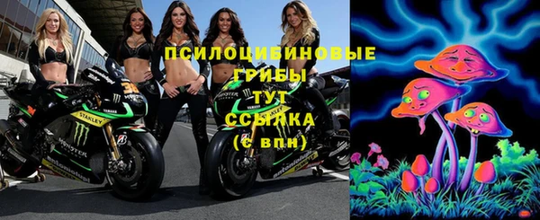кокс Аркадак