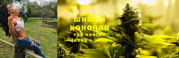 СК Арсеньев